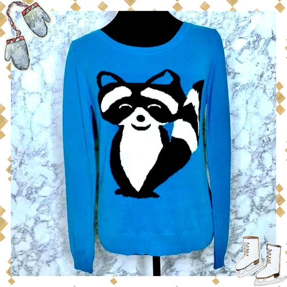 BONGO Sweaters - BONGO Lightweight Raccoon Sweater